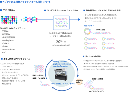 特殊ペプチドを用いた創薬開発プラットフォーム