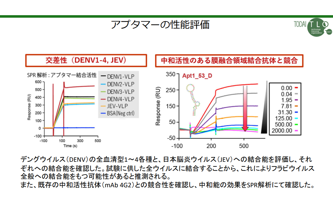 フラビウイルスに対するアプタマー及びその使用